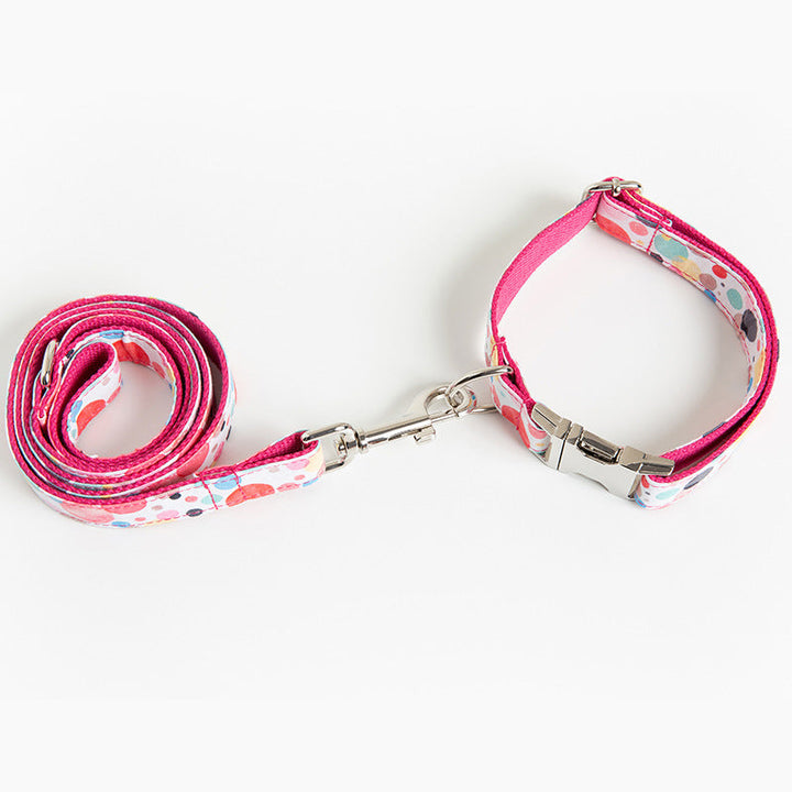 Enhance Your Pet's Style with the Bubble Pet Collar Leash