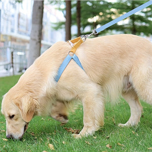 Elevate Your Pet's Style with the Rainbow Colorblock Pet Harness Leash Set