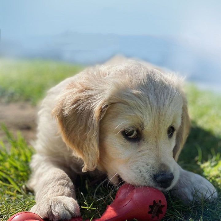 Unleash Joy and Safety with Our Dog Bite Resistant Rubber Grinding Toys
