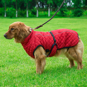 Adjustable Warm Pet Cotton Jacket: The Ultimate Comfort for Your Furry Friend