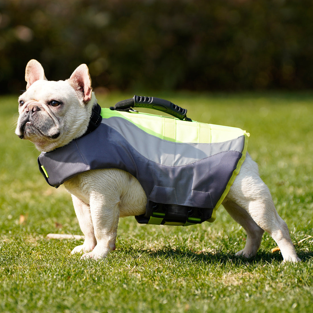 Reflective Pet Dog Swimsuit Life Jacket