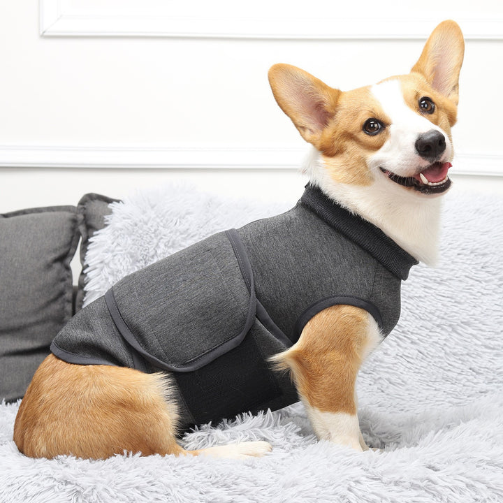 Pet Polyester Comfort Cotton Jacket Clothes