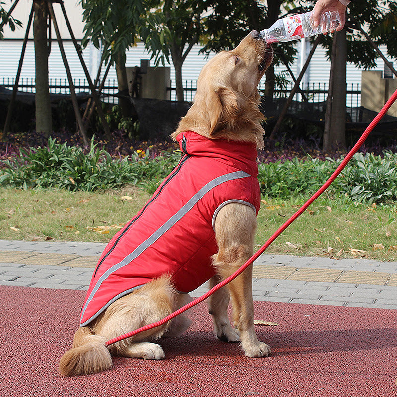 Winter Reflective Padded Warm Labrador Jacket