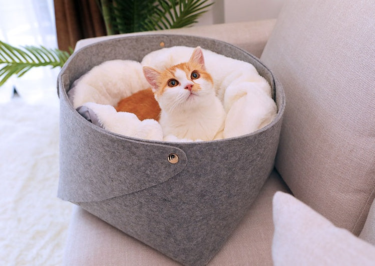 Soft pet bed