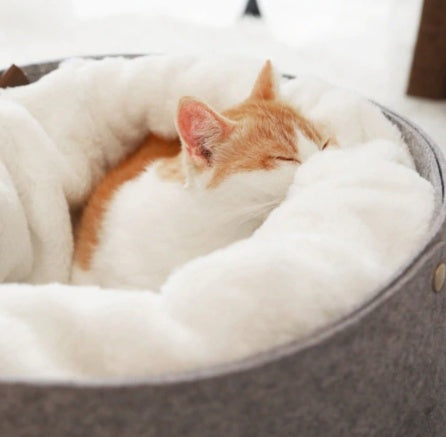 Soft pet bed