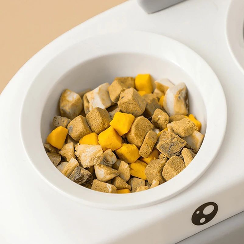 Duck Design Pet Feeding Double Bowl