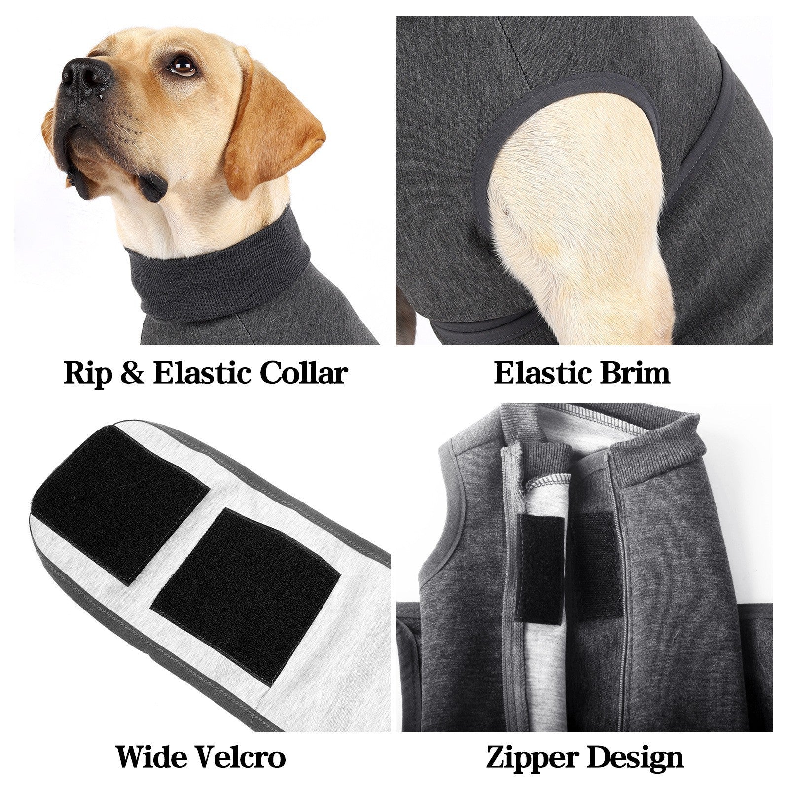 Pet Polyester Comfort Cotton Jacket Clothes