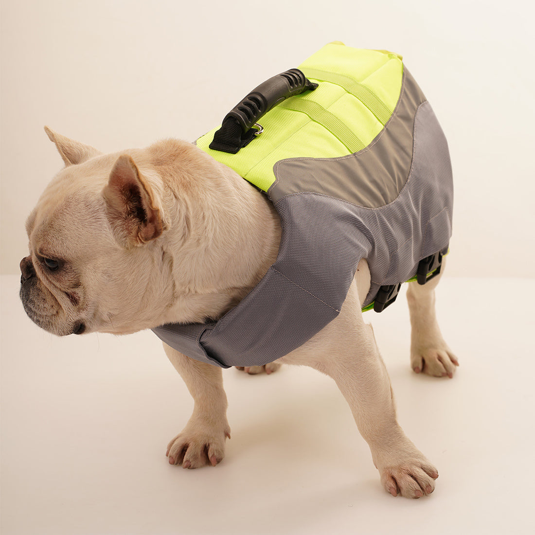 Reflective Pet Dog Swimsuit Life Jacket