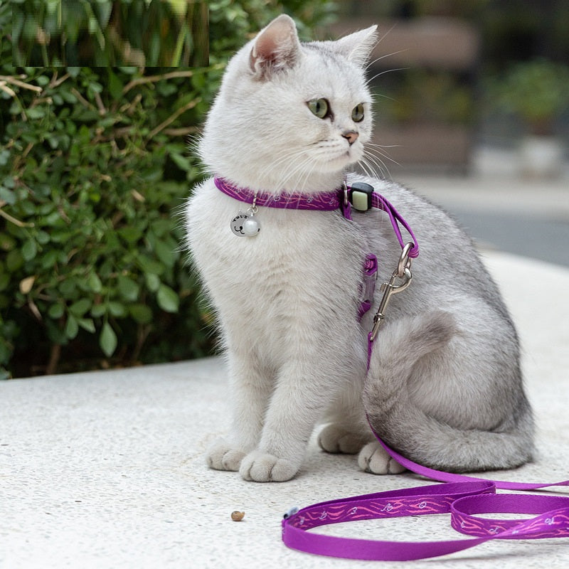 Pet Cat Bell Chest Strap Leash